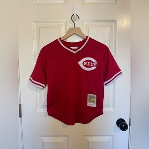 Mitchell & Ness Authentic Johnny Bench Cincinnati Reds Pullover Jersey